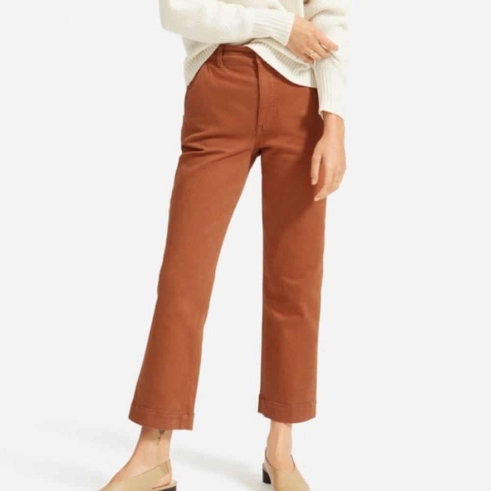 Everlane Straight Leg Pants in Rust Brown